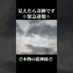 【本物の龍神様】見えたら奇跡です！ #風水 #スピリチュアル #龍神#龍神様#運気#占い#神社