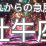 牡牛座さんへ、これから急展開していくこと✨着実に実ってる✨