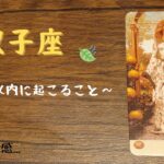 見たときがタイミング!?　　双子座のあなたに3日以内に起こること!?　知的好奇心開放