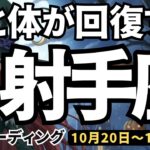 【射手座】♐️2025年10月20日の週♐️心と体が回復する。今、忙しく混乱の中にあっても大丈夫。いて座。タロットリーディング
