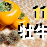 牡牛座2025年11月の運勢・アドバイス【個人鑑定級】レベルが高い おうし座さんへ かなり深めに いつもより詳しくお伝えしています【有料級12星座タロットリーディング スピリチュアルライフハック】