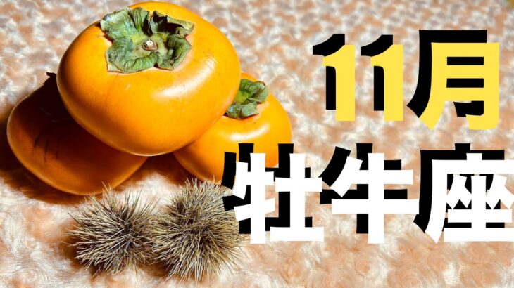 牡牛座2025年11月の運勢・アドバイス【個人鑑定級】レベルが高い おうし座さんへ かなり深めに いつもより詳しくお伝えしています【有料級12星座タロットリーディング スピリチュアルライフハック】