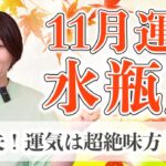11月 水瓶座の運勢♑️ / 覚悟してください！ここから幸せになれます✨【トートタロット & 西洋占星術】