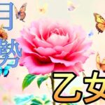 【乙女座】11月の運勢❤️大予祝！！こりゃ、すごい😳大吉報！大チャンス！ハッピーサプライズ🎁マンスリー　2025年　タロット占い