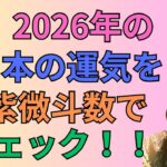 2026年の日本の運気を紫微斗数でチェック#76