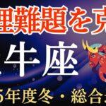 【牡牛座】2025年冬のおうし座の総合運～無理難題を克服～