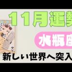 【水瓶座】11月の運勢🌈▼タロットカード&オラクルカード&ルノルマンカード占い