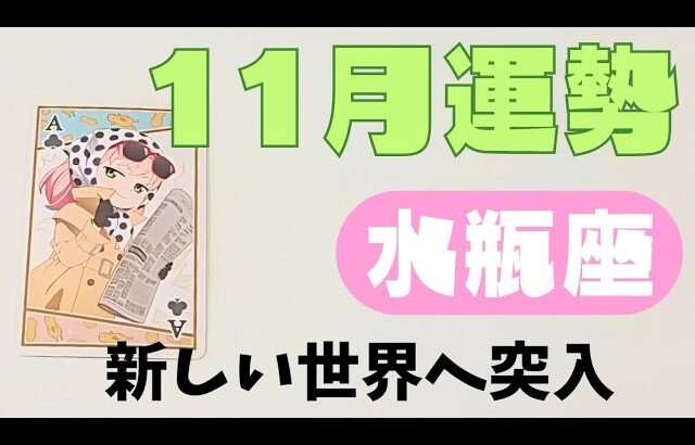 【水瓶座】11月の運勢🌈▼タロットカード&オラクルカード&ルノルマンカード占い