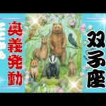 【10月後半♊️】双子座さんの運勢🦋奥義発動🙌ここから本領発揮です!!!