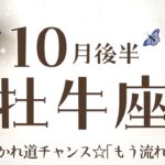 おうし座さんへ【10月後半】もう流れに乗っているから大丈夫！もう迷わない！新しい自分へ変化済み♡アファメーションで引き寄せていこう♡