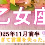 【おとめ座11月前半】驚きすぎて言葉を失った😳‼️今回No.1かも🤭👑ついにその時がやってきた🙌🏻🌸🌈