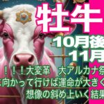 牡牛座♉️10月後半〜11月前半＊！！！大変革　大アルカナ祭り！！！　好奇心に向かって行けば運命が大きく動き出す　想像の斜め上いく結果ゲット！＊魂のリーディング