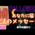 【魚座】魔法のメッセージ🎃🎉▼タロットカード&オラクルカード&ルノルマンカード占い