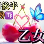 【乙女座】10月後半の運勢❤️大予祝！！ちょっとこれは最高すぎる😳ミラクル急展開🎁愛の大復活❤️‍🔥大吉報！ハッピーサプライズマンスリー　2025年　タロット占い
