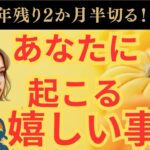 解放です‼️【ふたご座さん♊️残り2ヶ月半】まさかの‼️思いがけない✨あり得ないミラクル✨🌈✨🍀自然界からの開運メッセージ🍀