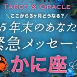 【かに座♋️】最幸のサプライズへ🌈年末どうなってる？未来のあなたがどうしても伝えたいこと💌タロット＆オラクル／Tarot&Oracle card reading／Cancer