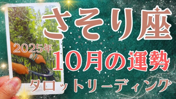 さそり座さん♏️2025年10月の運勢タロットリーディング✨仕事運・金運・対人運も見ました✨