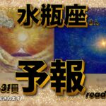 【良い流れ来てます💕逆境を乗り越えて行くヨ〜✊】10月後半予報♒️水瓶座さん特化型reading＆talk