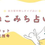 ねこみち占い  #占い #四柱推命 #タロット