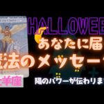 【牡羊座】魔法のメッセージ🎃🎉▼タロットカード&オラクルカード&ルノルマンカード占い