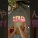 【山羊座】2025年11月♑️やぎ座さんの運勢️🔮#山羊座 #やぎ座 #占い