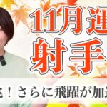 11月 射手座の運勢♑️ / 大吉兆！素晴らしい方向に前進し続けてます！益々可能性が広がっていく【トートタロット & 西洋占星術】