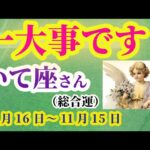 【 射手座】2025年 10月後半いて座の総合運：一大事です！タロットと占星術で鑑定。