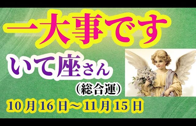 【 射手座】2025年 10月後半いて座の総合運：一大事です！タロットと占星術で鑑定。