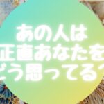 🙄あの人は正直あなたをどう思ってる❓【🔮ルノルマン＆タロット＆オラクルカードリーディング🔮】（忖度なし）