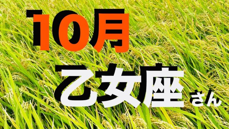 乙女座2025年10月の運勢 嬉しすぎる展開に おとめ座さんの悲鳴が聞こえてきそう！【有料級】かなり深めに いつもより詳しくお伝えしています【12星座タロットリーディング スピリチュアルライフハック】