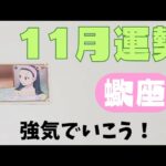 【蠍座】11月の運勢🌈▼タロットカード&オラクルカード&ルノルマンカード占い