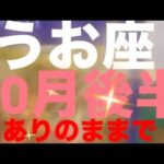 うお座✨10月後半🌈そのままのあなたで🩷#占い #恋愛 #タロット占いうお座 #タロット占い恋愛 #tarot #タロット占い魚座