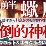 【さそり座】何が待ってるの⁉️全体運！見逃し注意🤩✨ワクドキ止まらない🍀✨🌈【仕事運/対人運/家庭運/恋愛運/全体運】11月前半 タロット占い