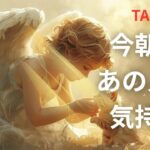 タロット恋愛　　今　態度と気持ちの差が激しい⁉  あの人の気持ち