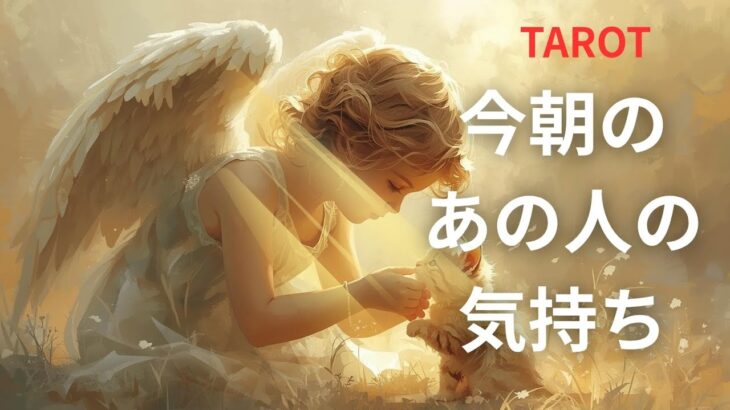 タロット恋愛  今 態度と気持ちの差が激しい⁉  あの人の気持ち