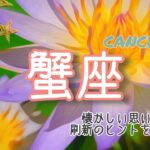 【10月前半✴︎蟹座】ストロング蟹座🔥自分の過去を手放し、進む決意をする！！その全てが自信に、糧になる時🌎✴︎💫【2025】