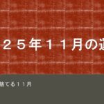 ２０２５年１１月の運勢#西洋占星術 #四柱推命 #今月の運勢#２０２５年１１月