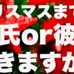 【タロット占い】クリスマスまでに彼氏or彼女はできますか？ー3択ー