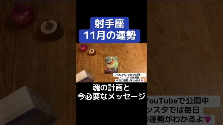【射手座】11月の運勢がすごすぎた。#タロット占い #タロット #占い #11月の運勢