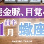 さそり座♏️11月前半‼️眠っていた才能・金脈が目覚める👀💖良い流れに乗っているから大丈夫🕊️🌈