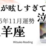 牡羊座11月は感涙😭✨未来は明るい大丈夫！自由に飛んで、生きていい❤️♈️2025年11月運勢仕事恋愛人間関係【癒しのタロット個人鑑定級】
