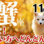 蟹座♋️2025年11月☆解放！明るい方へどんどん進む