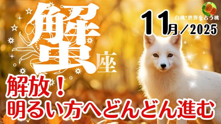 蟹座♋️2025年11月☆解放!明るい方へどんどん進む