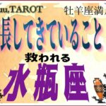 経験から得た進む力と防御力🛡水瓶座♒さん【牡羊座満月🌕〜成長してきていることとは⁉️】#2025 #タロット占い #星座別