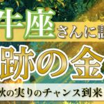 【牡牛座】豊かさの扉OPEN！報われる瞬間がやってくる🎁 ／ 奇跡の金運💰 ／ 秋の実りリーディング［オラクル＆タロット占い］