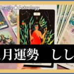 11月運勢【しし座】気になるあの人と再会の予感！！✨〜しし座さん「らしさ」を発揮するために一役かってくれそう〜