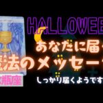 【水瓶座】魔法のメッセージ🎃🎉▼タロットカード&オラクルカード&ルノルマンカード占い