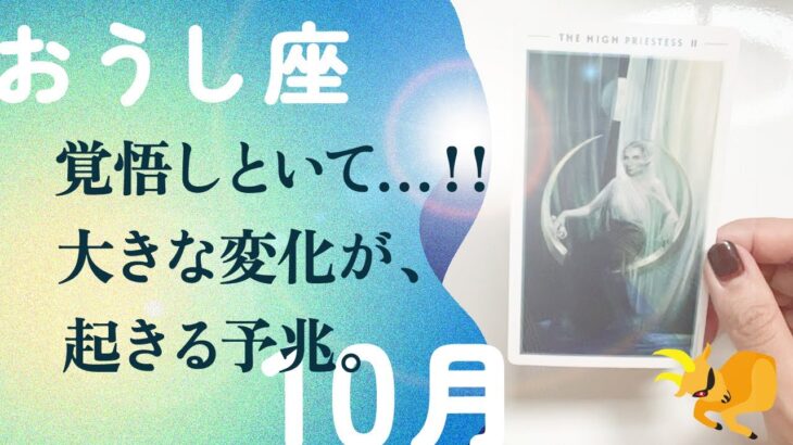さすがに、断言します。強運来てます。刺さります、とても。【10月の運勢　牡牛座】