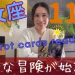 【乙女座】11月🍁重要な人生の節目になります！環境や居場所の変化、ご縁に恵まれる！