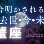 蟹座の過去世•今•未来🔮[霊視リーディング]今世でのカルマと訪れる未来✨